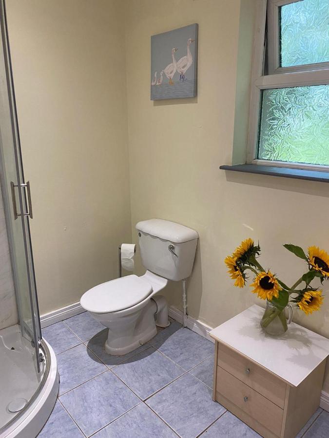Orchard Lodge Glenavy Exteriör bild